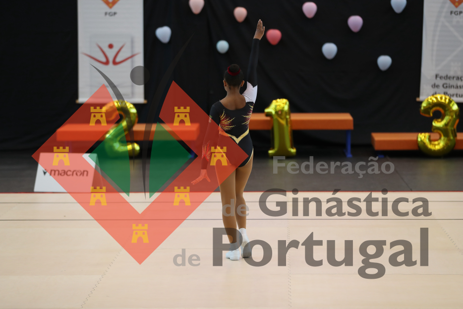 1031_Taça de Portugal AER
